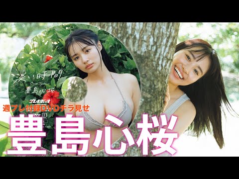【2023/11/27発売！周プレNo.50付录DVDチラ见せ♪】『グラジャパ！』ならDVDが视聴できる♪ #豊岛心桜　Cocoro Toyoshima