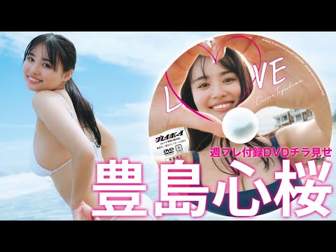 【2024/12/23発売！周プレNo.1・2付录DVDチラ见せ♪】『グラジャパ！』ならDVDが视聴できる♪ #豊岛心桜