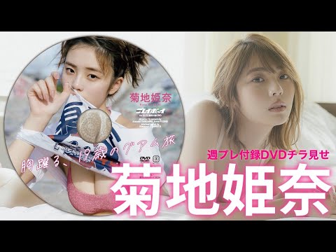 【2024/3/4発売！周プレNo.12・13付录DVDチラ见せ♪】『グラジャパ！』ならDVDが视聴できる♪ #菊地姫奈　Hina Kikuchi