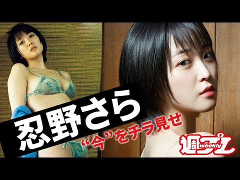 忍野さら、永久保存版DVDが周プレ特别付录に登场！