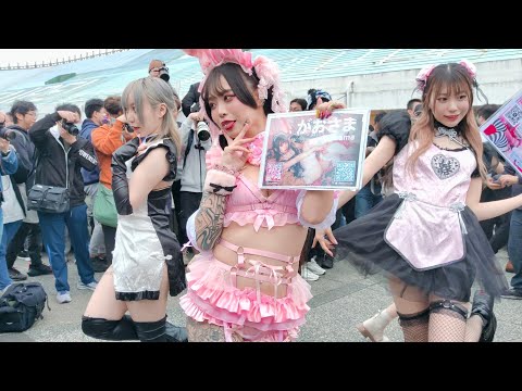 【FF42 Cosplay】🌸日本少女快闪团的围拍欢乐时光🤳❤️ Japanese cosplayers in Taipei-2024.2.24-台北花博公园争艳馆户外广场