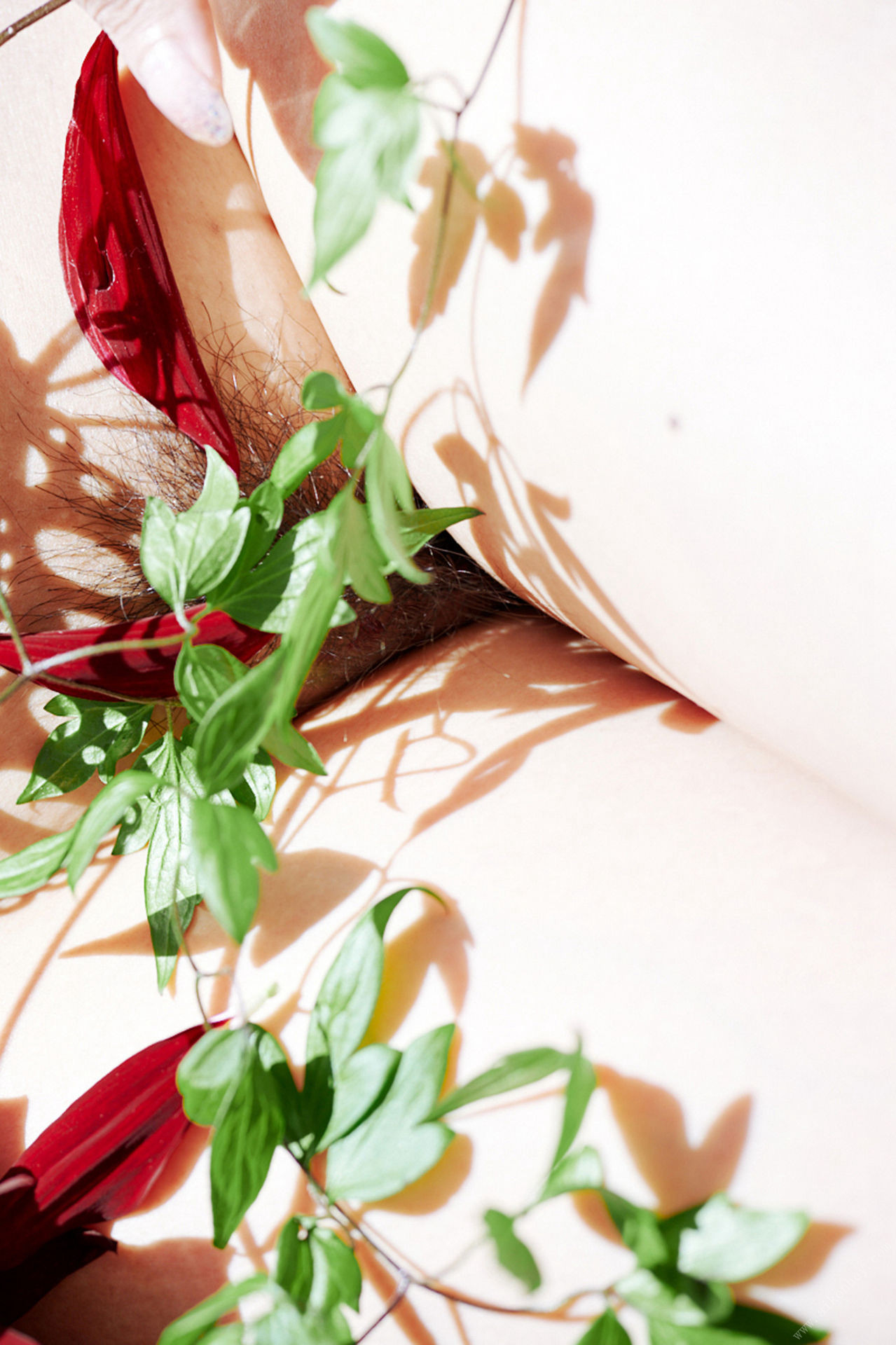 Ayaka Tomoda 友田彩也香, 周刊ポストデジタル写真集 「花园」