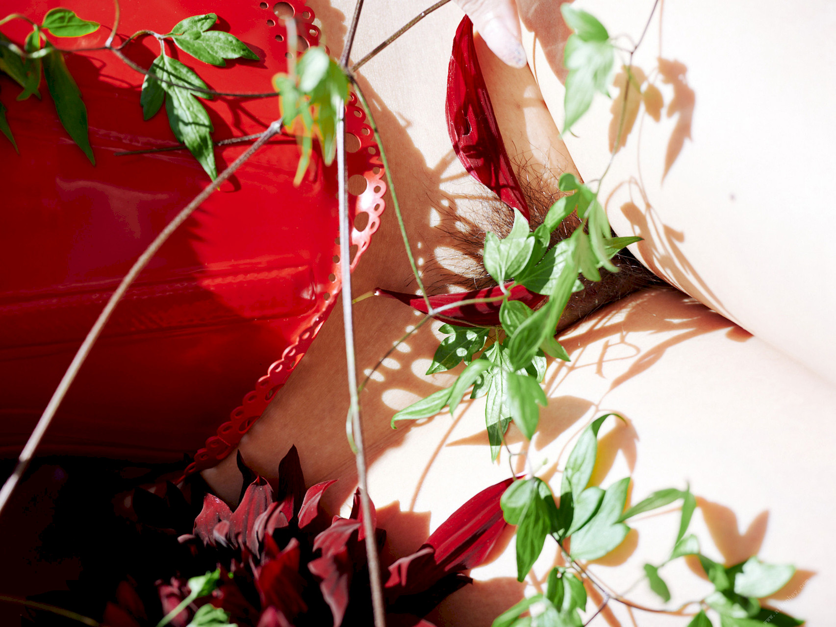 Ayaka Tomoda 友田彩也香, 周刊ポストデジタル写真集 「花园」